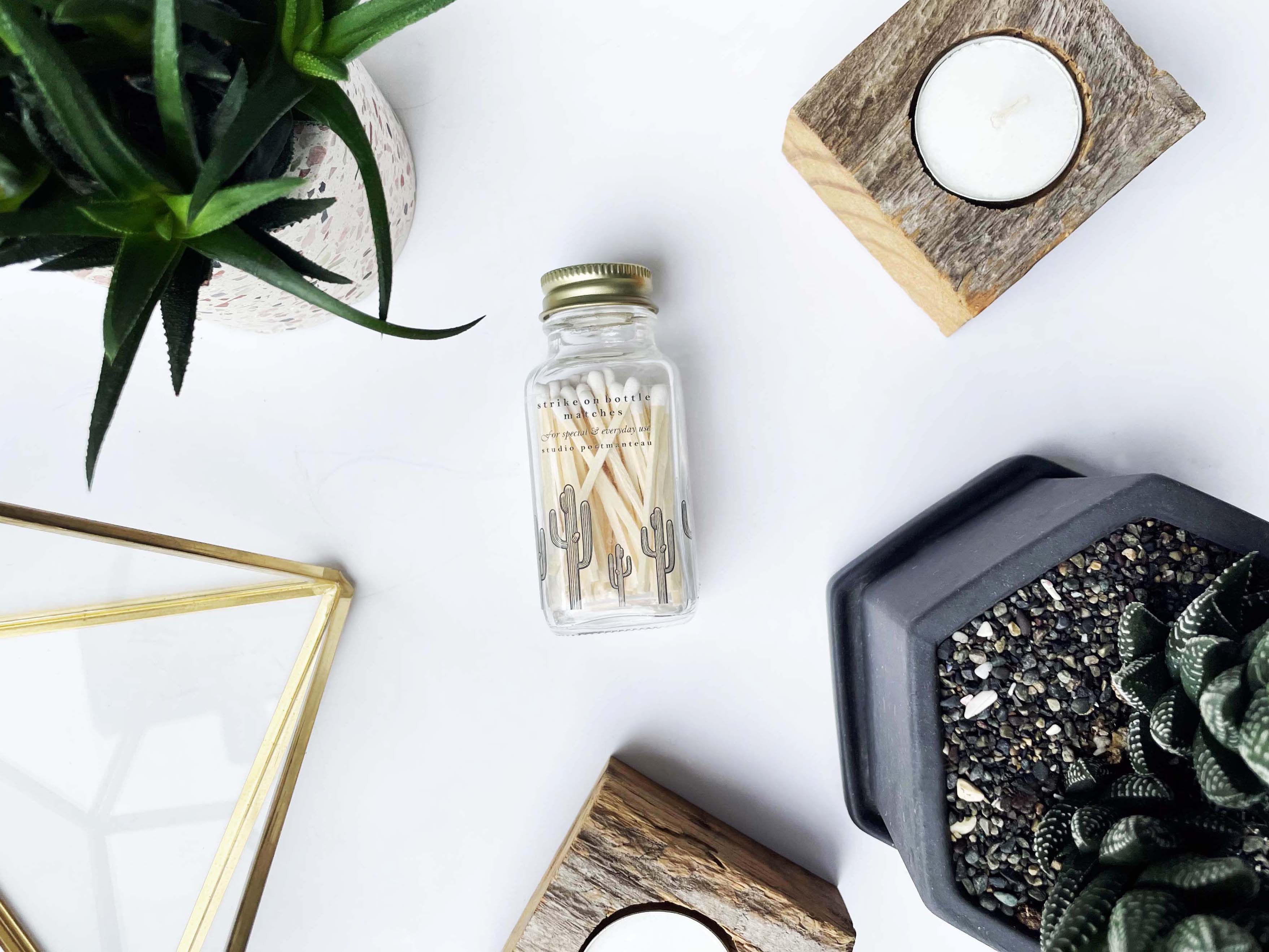 Saguaro Cactus 2" White Match Jar