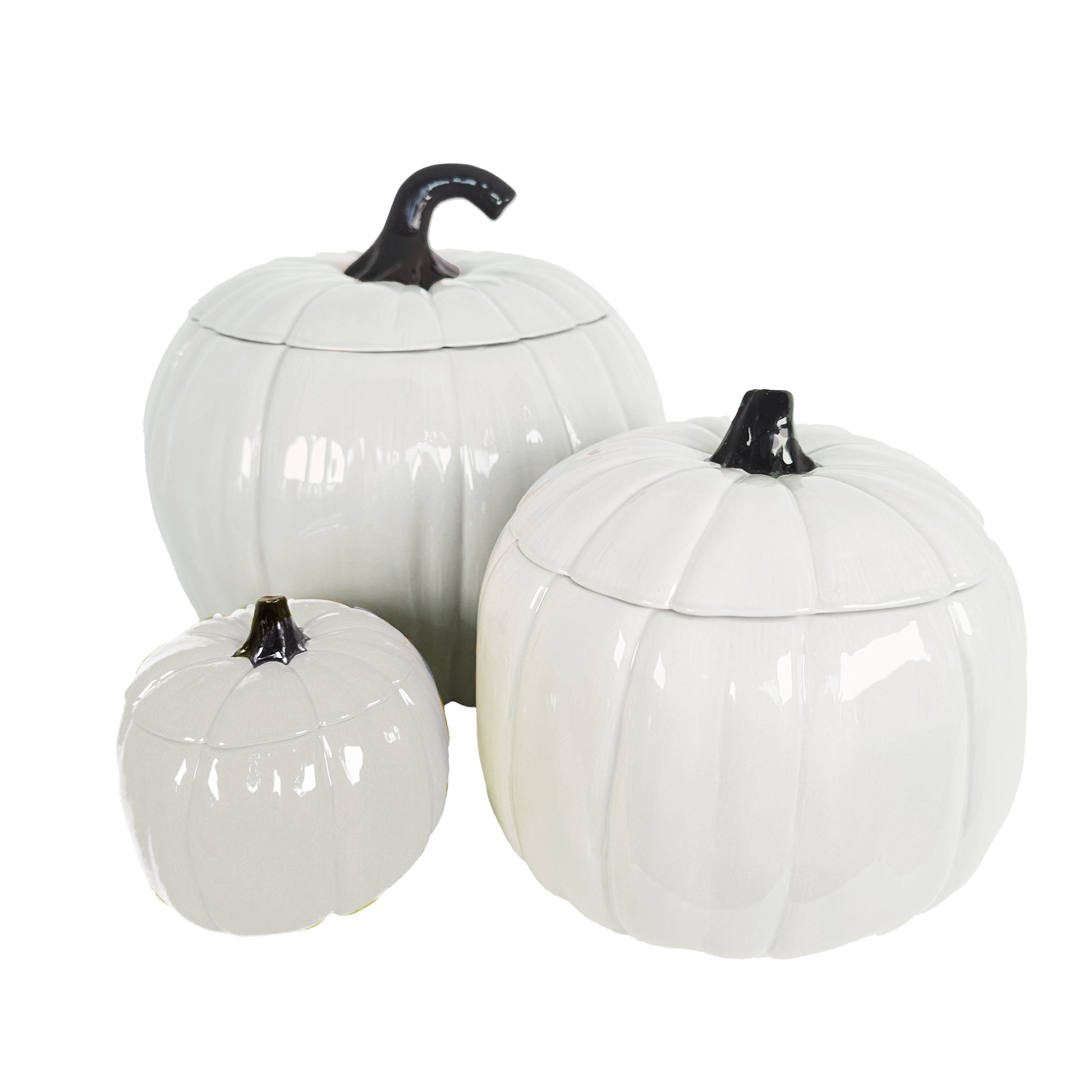 Solid White Pumpkin Jars