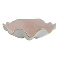 Shell and Conch Color Sample Tiles