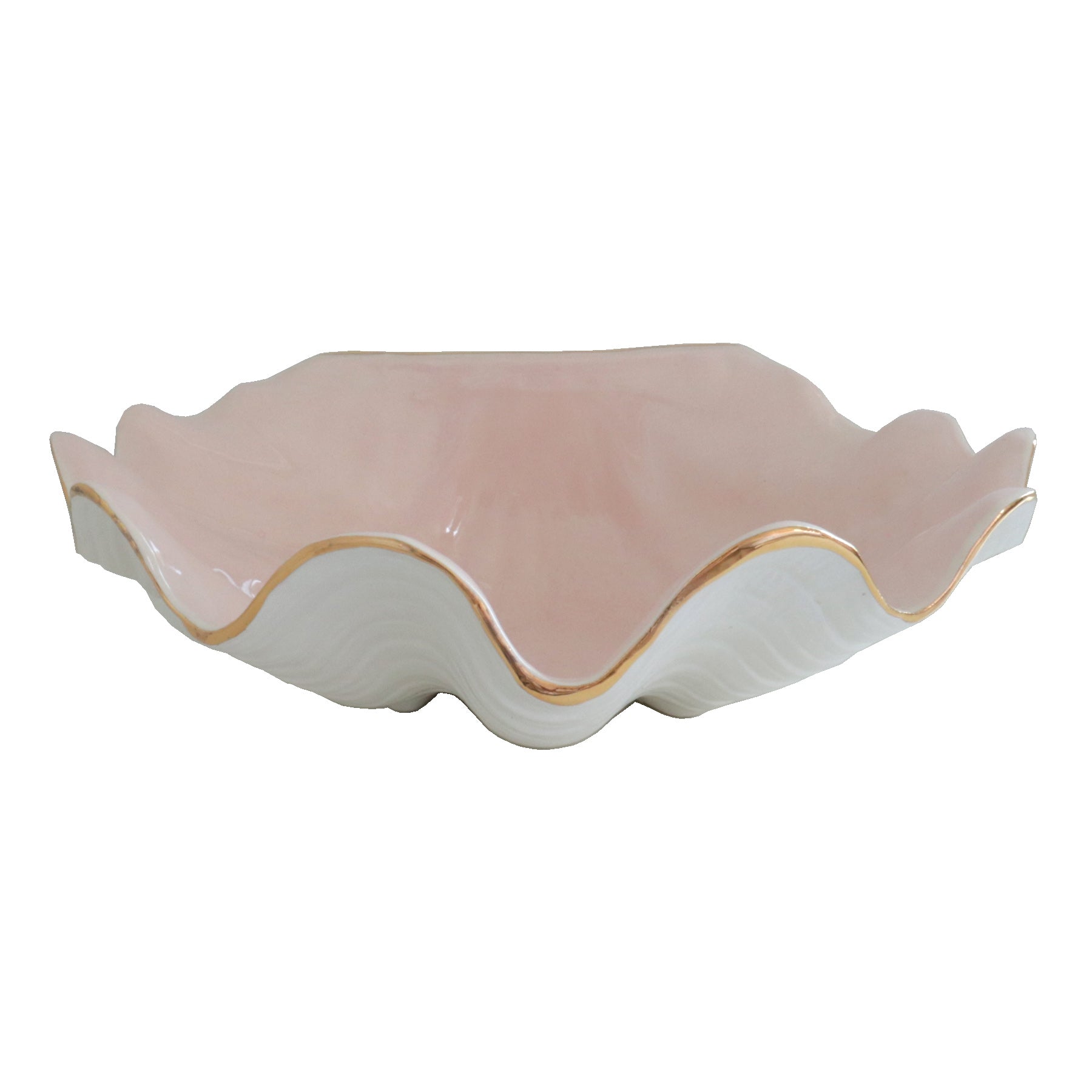 Shell and Conch Color Sample Tiles